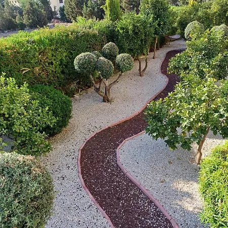 King's Holiday Пафос