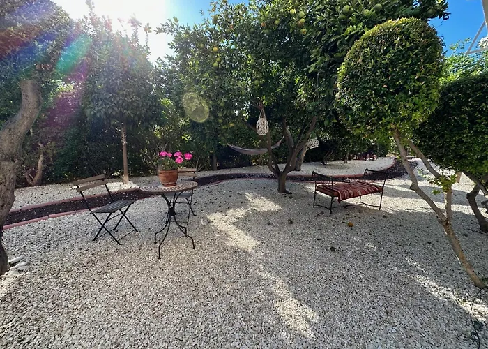 King's Holiday Paphos